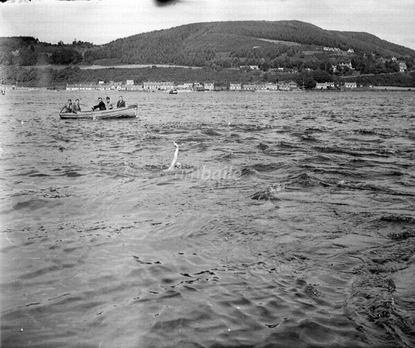 Kessock Ferry Swim 1950s